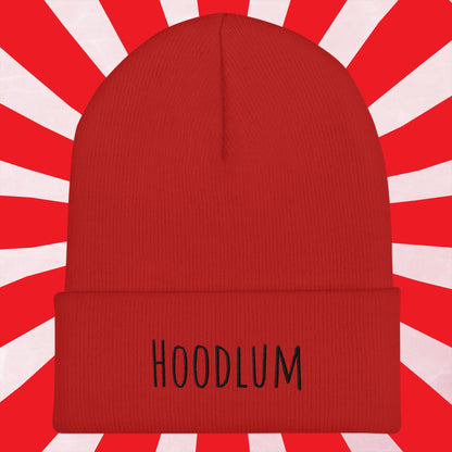 Hoodlum Cuffed Beanie